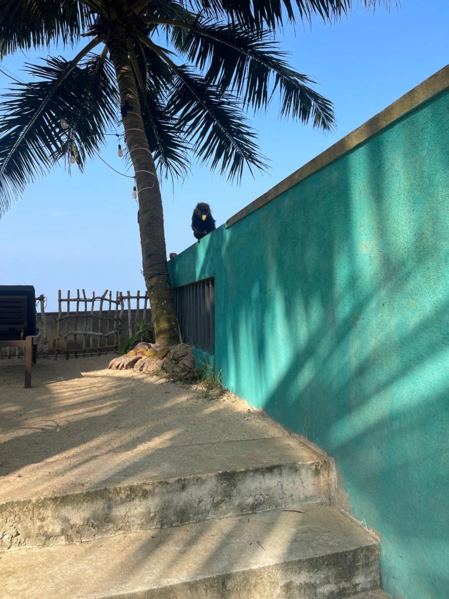 Blue Maalu Resort Ambalangoda  Exterior photo